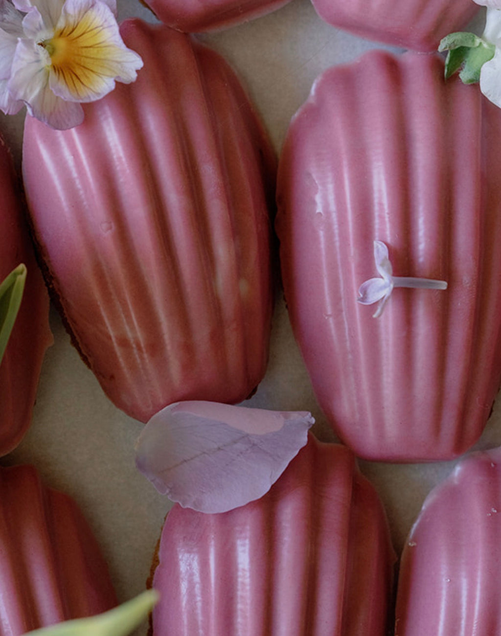 Gourmet Madeleine Pops
